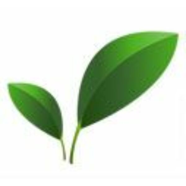 Növényi glicerin 99,5% nagy kiszerelés 500 ml - Ökokuckó